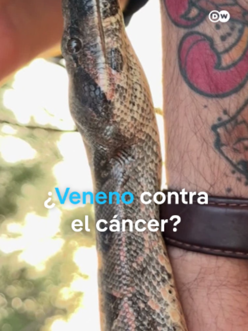 @DW Español