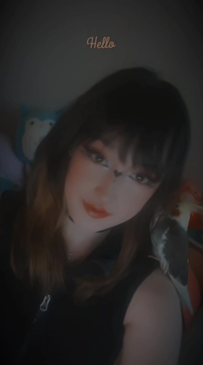 @PuffinCore