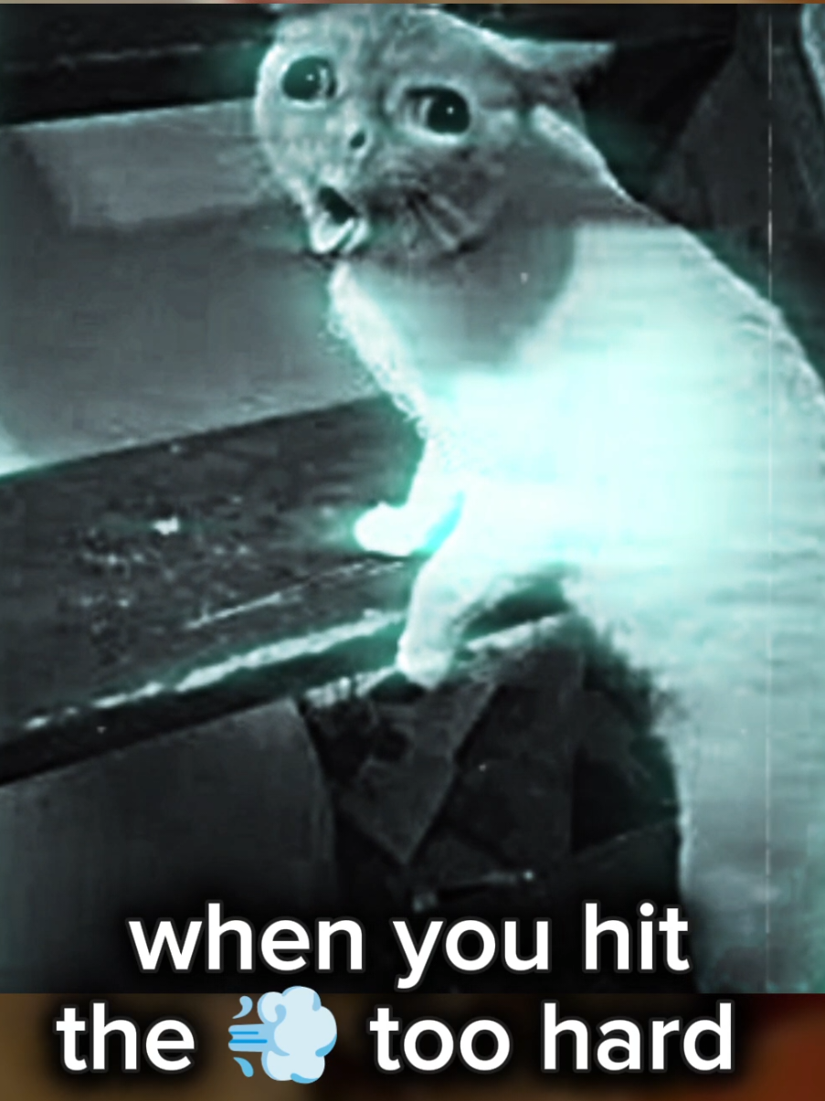 @Captain O'Malley (Barbossa)