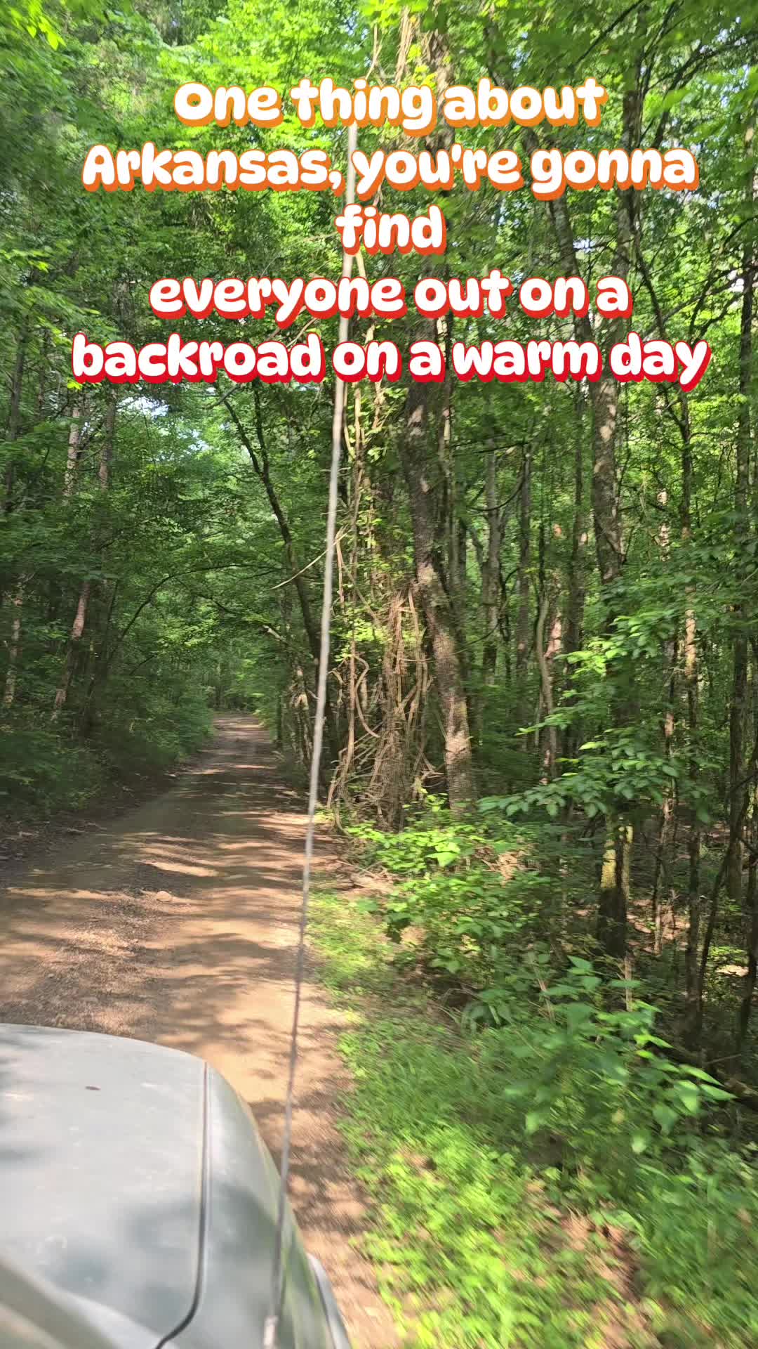 @lynnipoo
