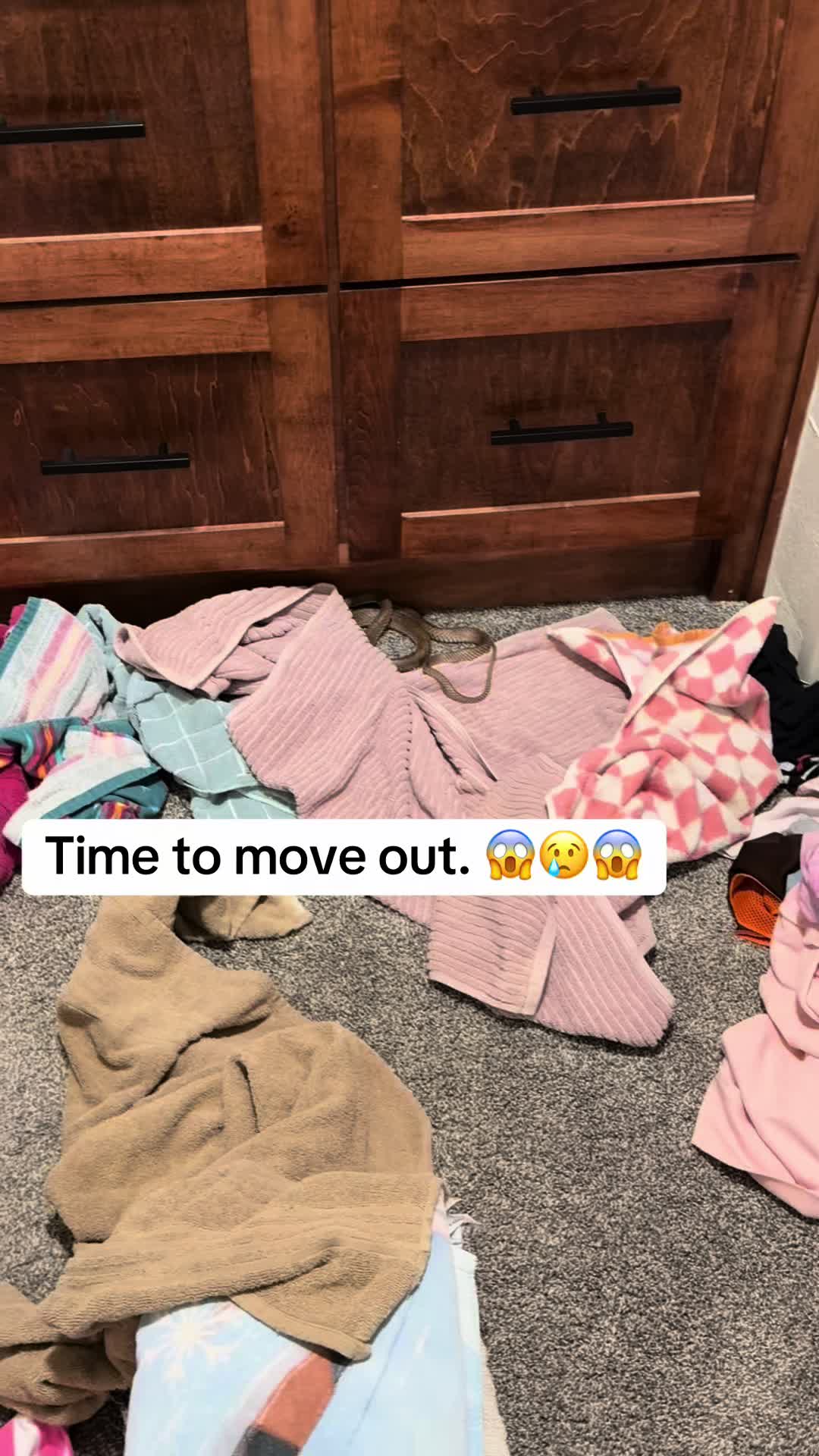 @BrittineeWESTXWIFE