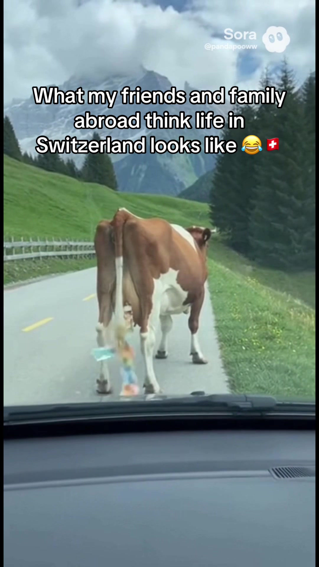 @PandaPow