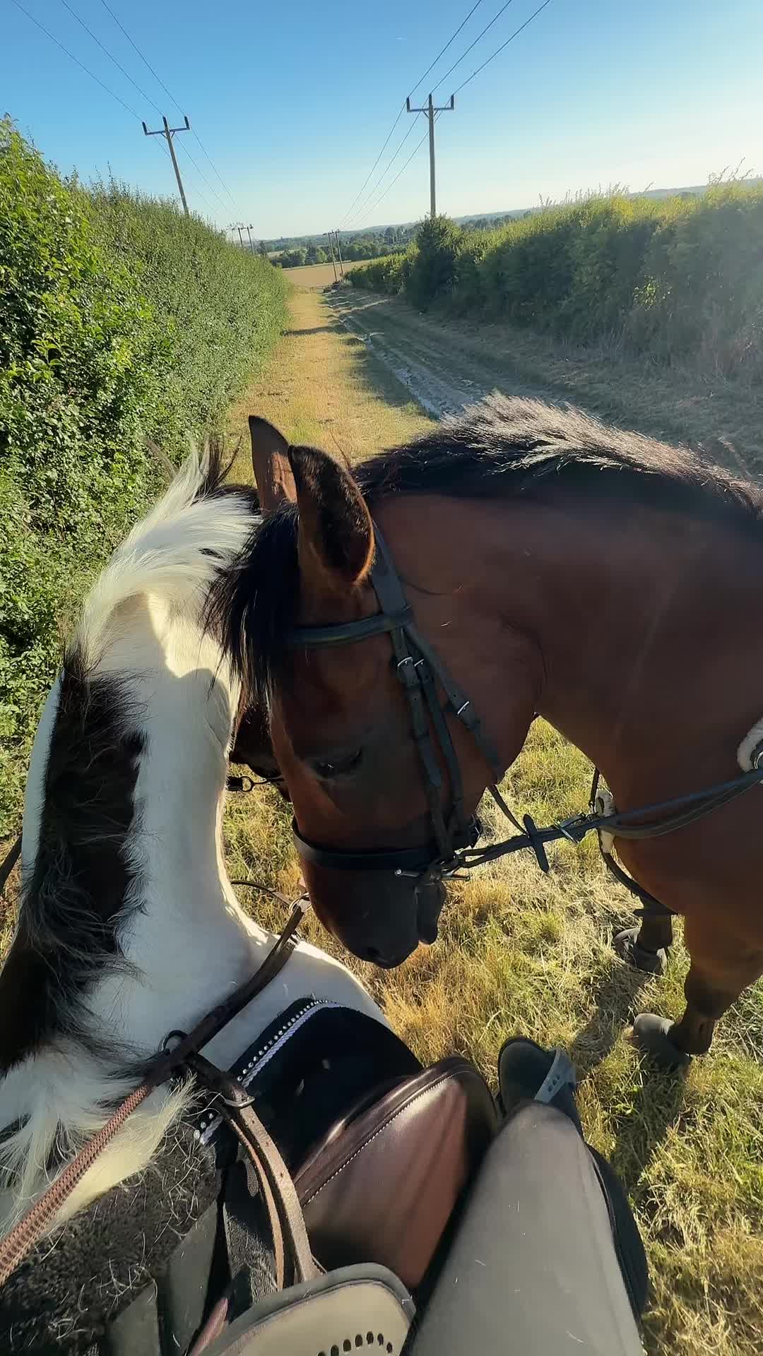 @Jodie🐴🌾