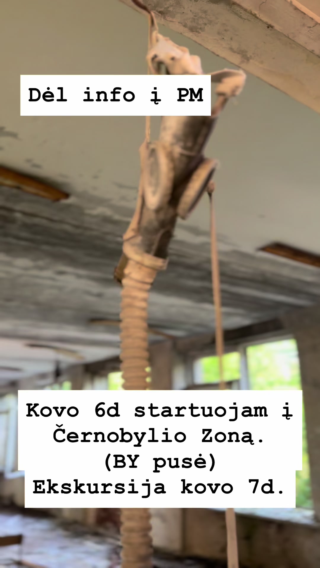 @Devid