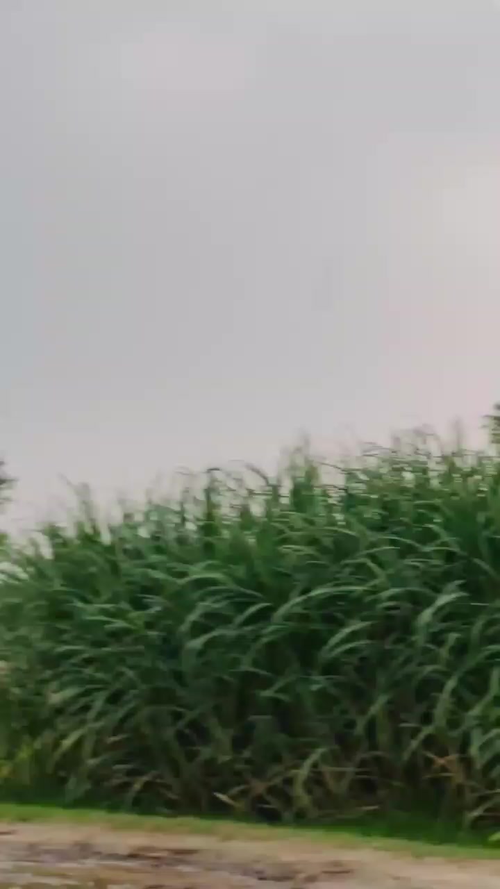 @Aamir khokhar