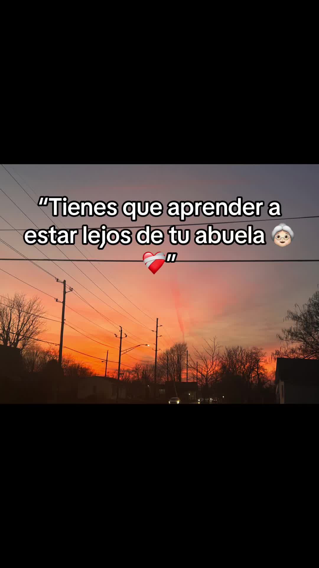 @bea.trixzz20