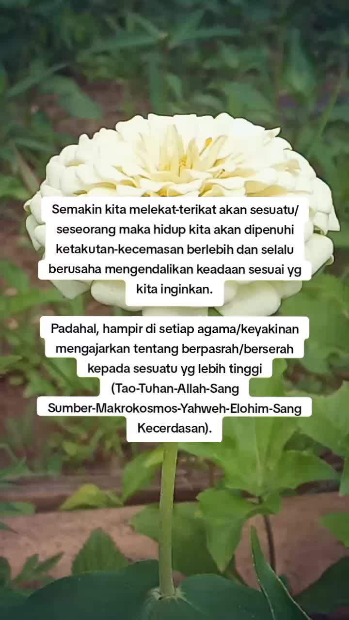 @Cahaya Telaga88
