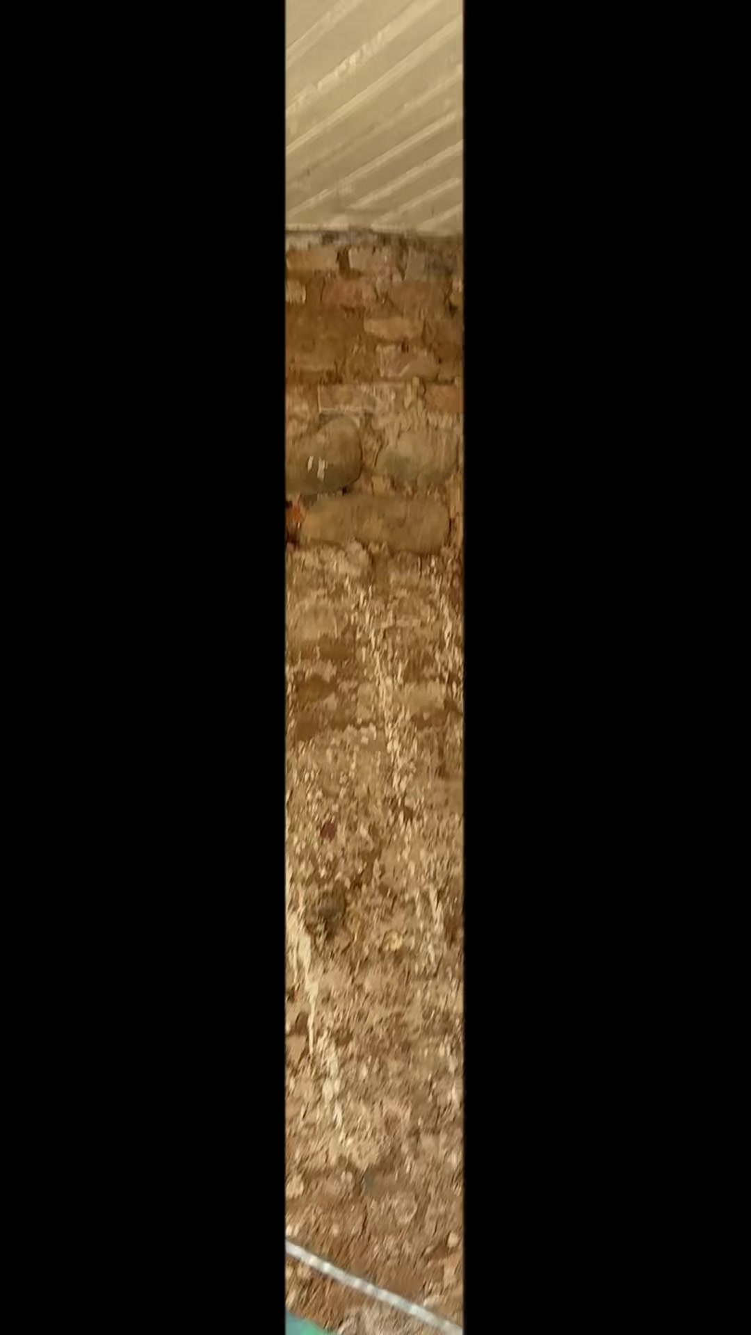 @AleksFunt