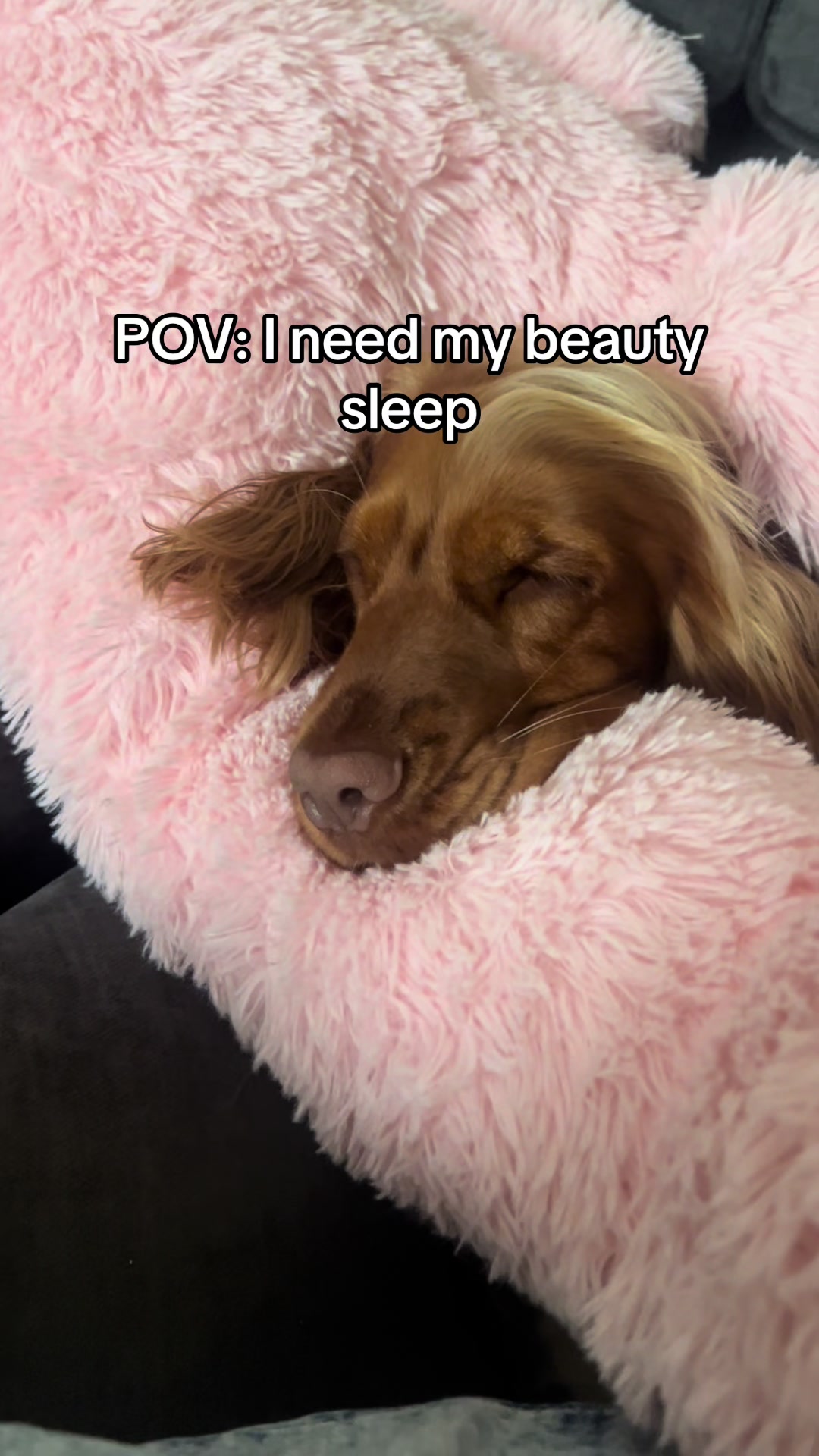 @Minnie & Dougie
