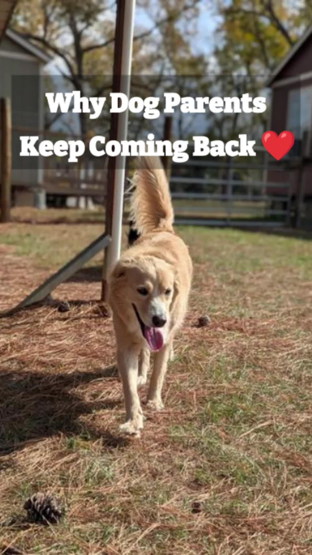 @Barks & Wildlife Longville LA