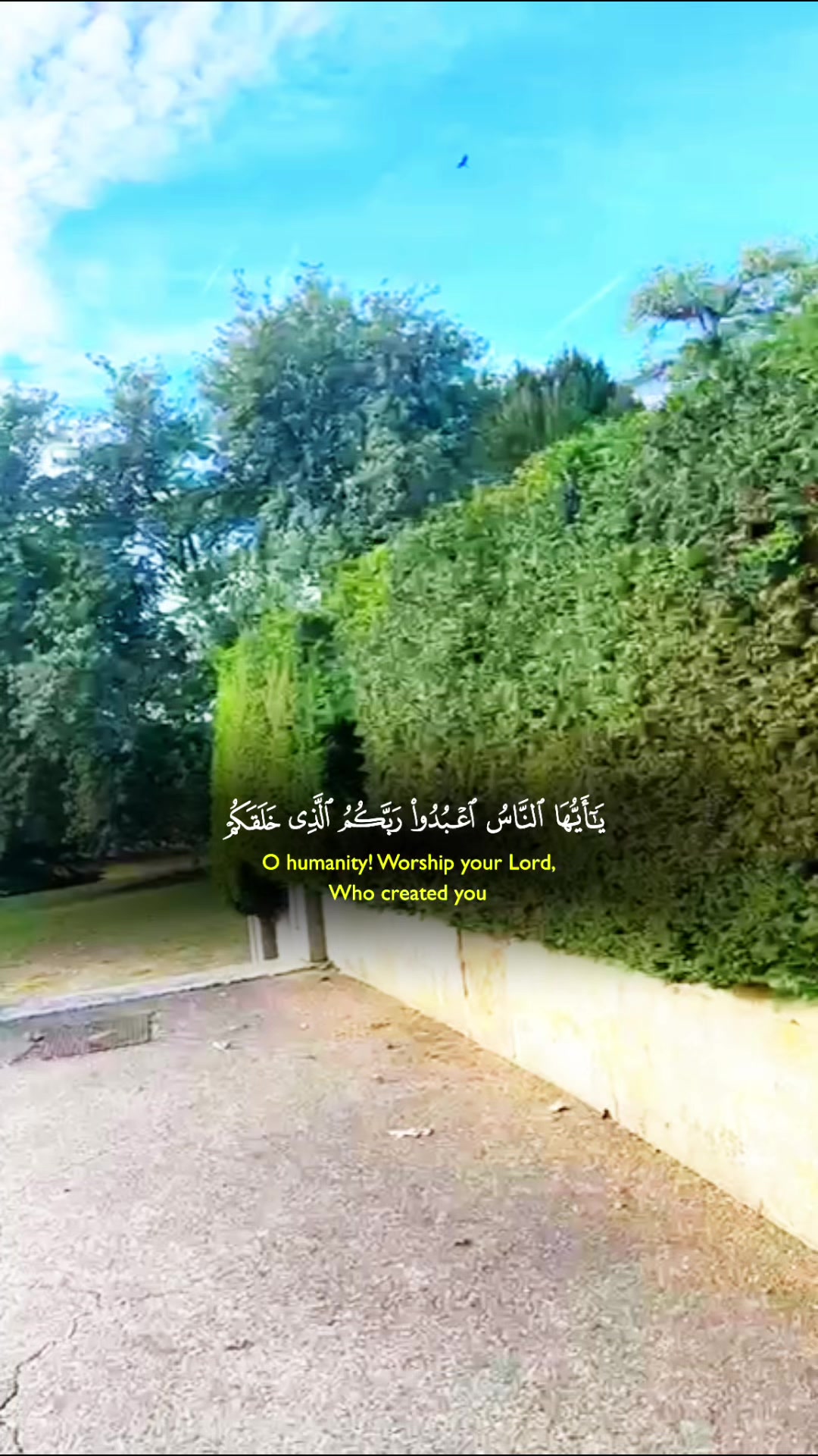 @maqrafiq