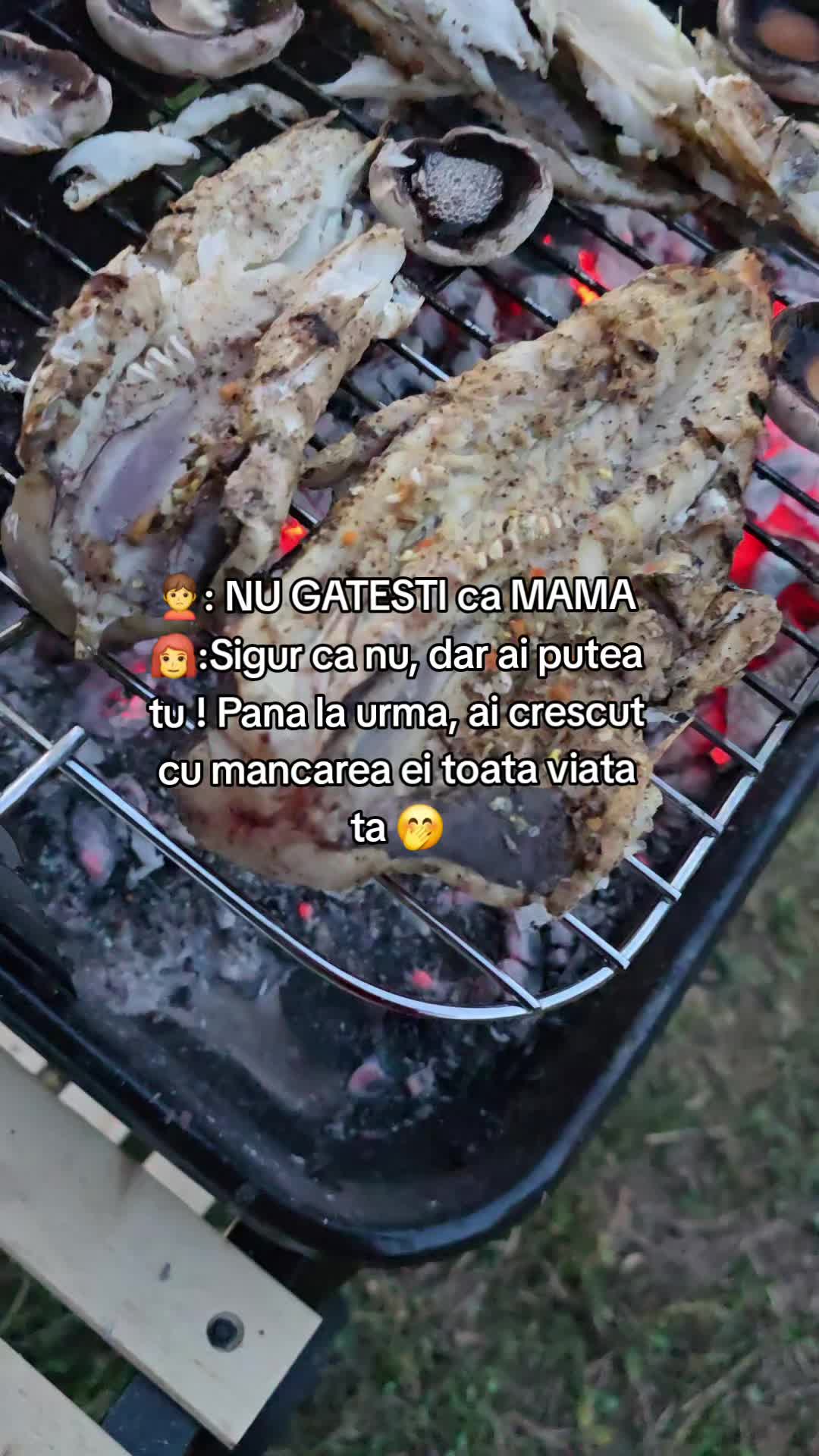 @Timeya