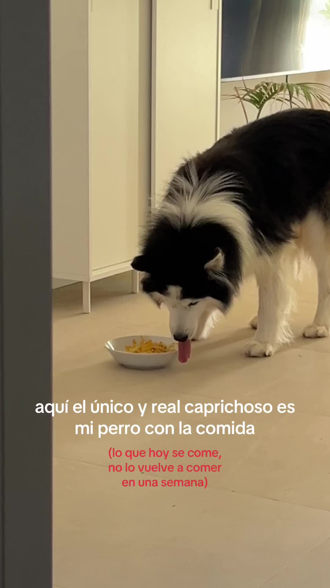 @raquel