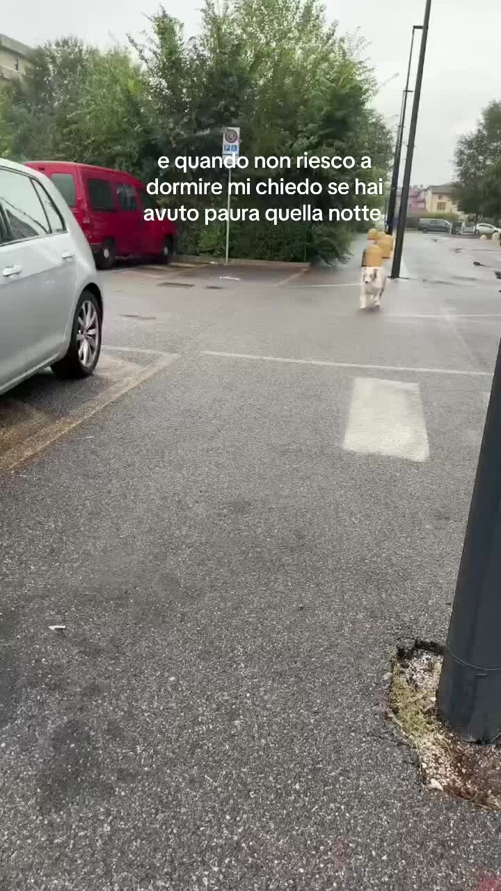 @eleonora💸