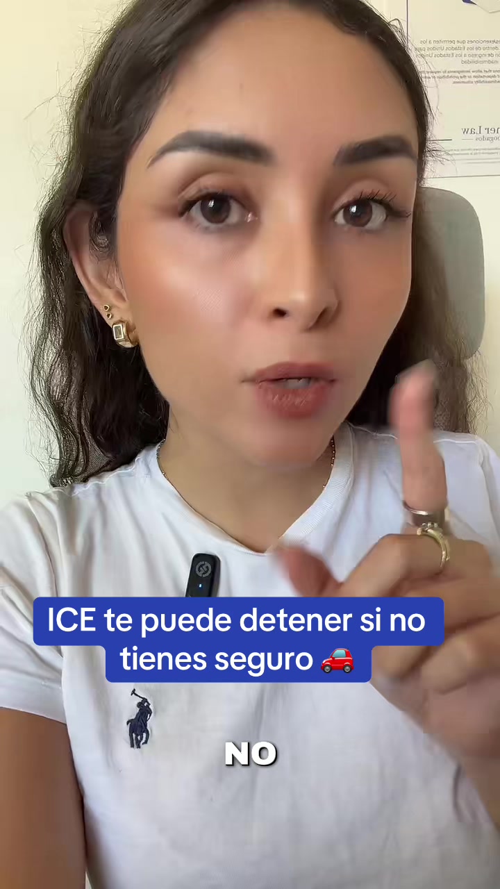 @dienerlawabogados