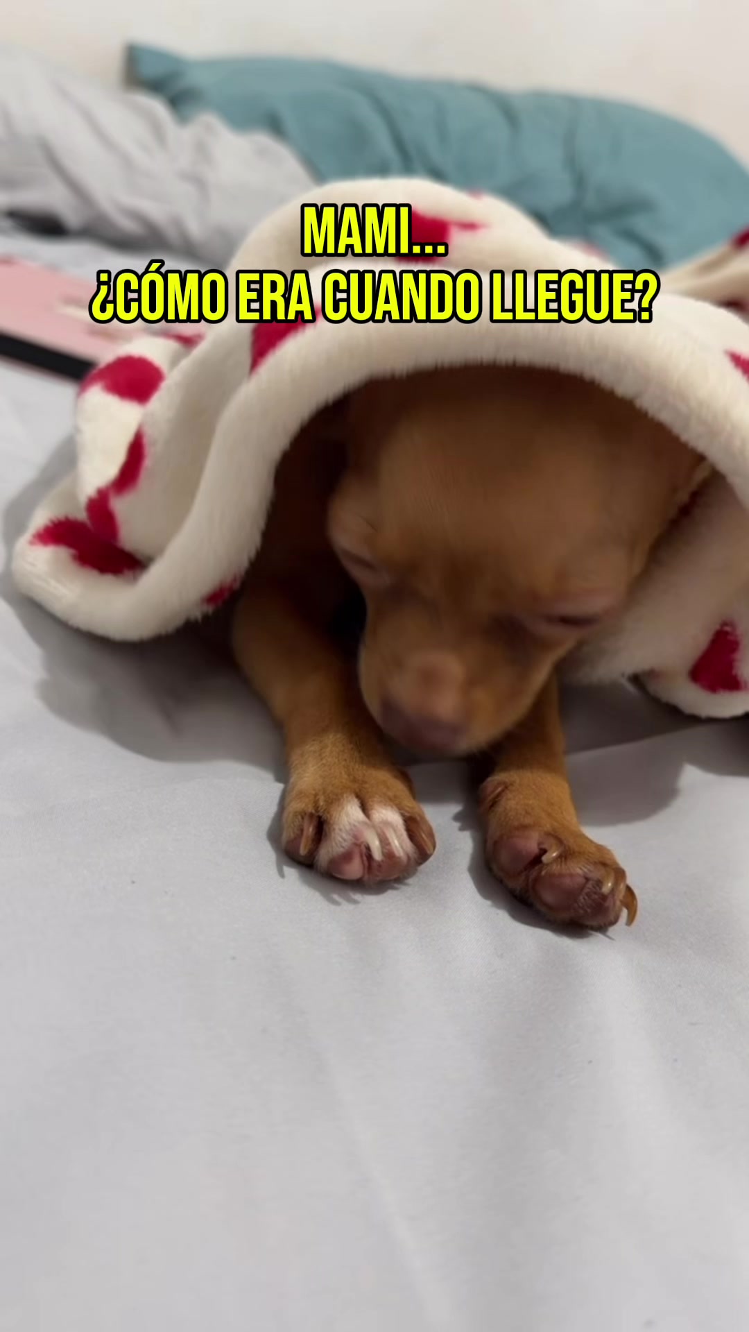 @maruedu00