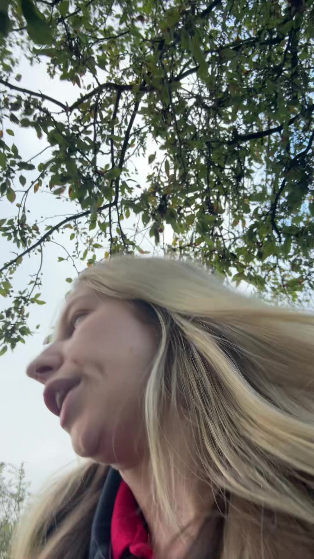 @Ashdemirci