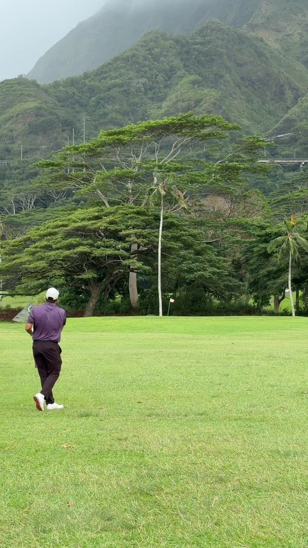 @JaydenTupuola