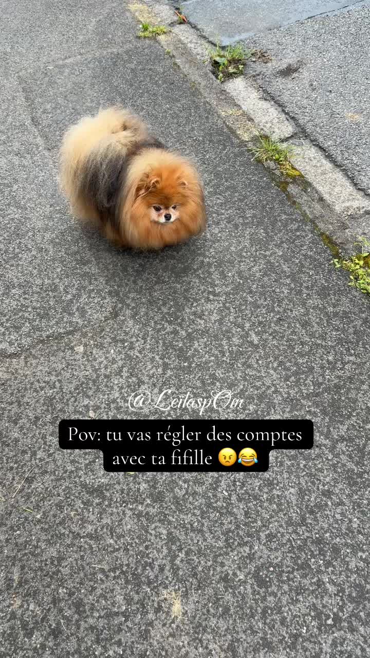@🎀Leïla’spOm🎀