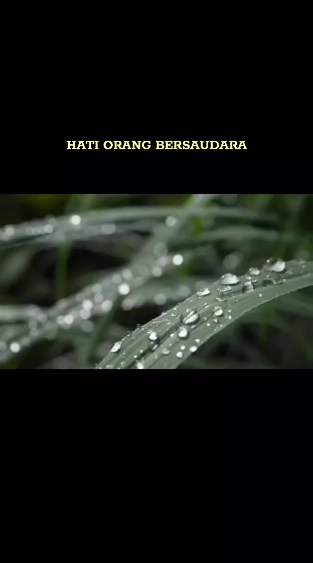 @Bulir Padi