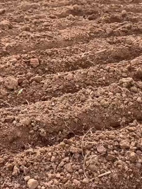 @FarmersTrend
