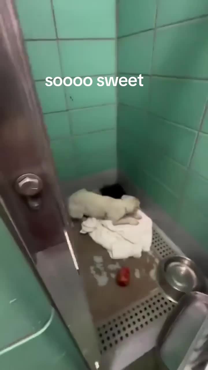 @account 17