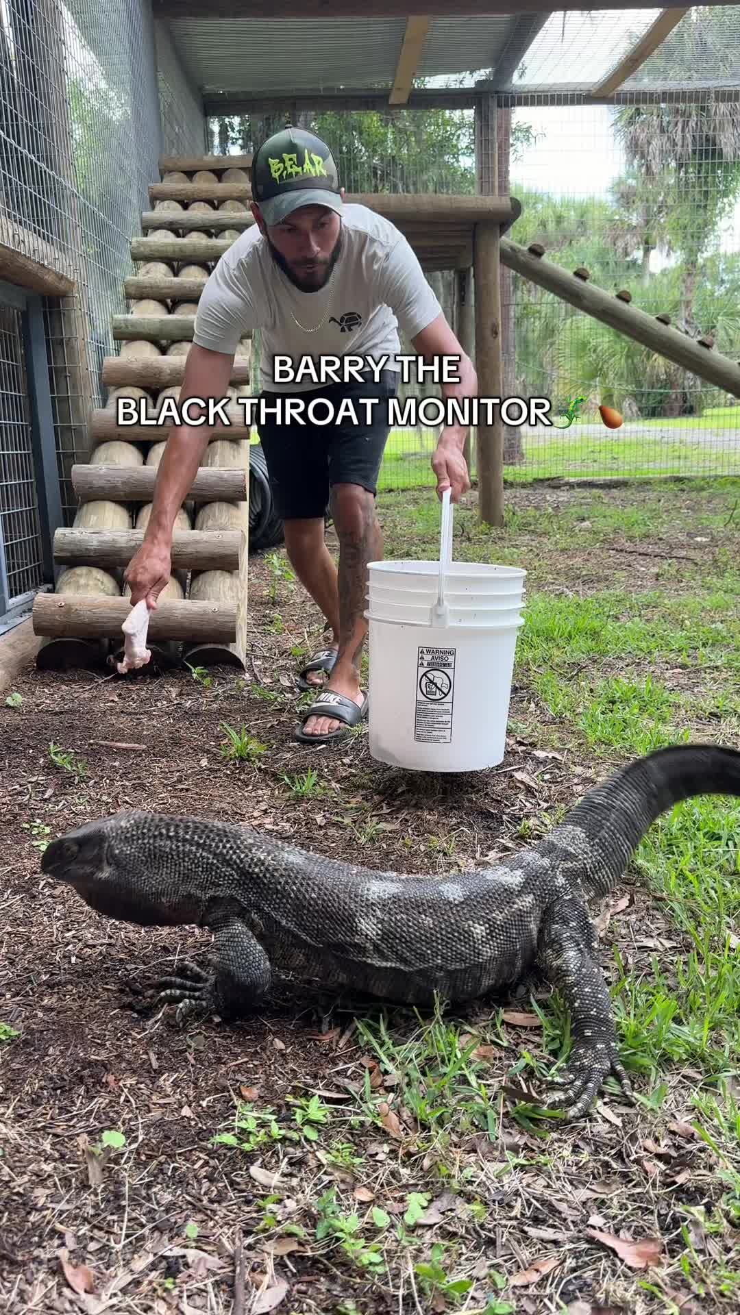 @B.E.A.R