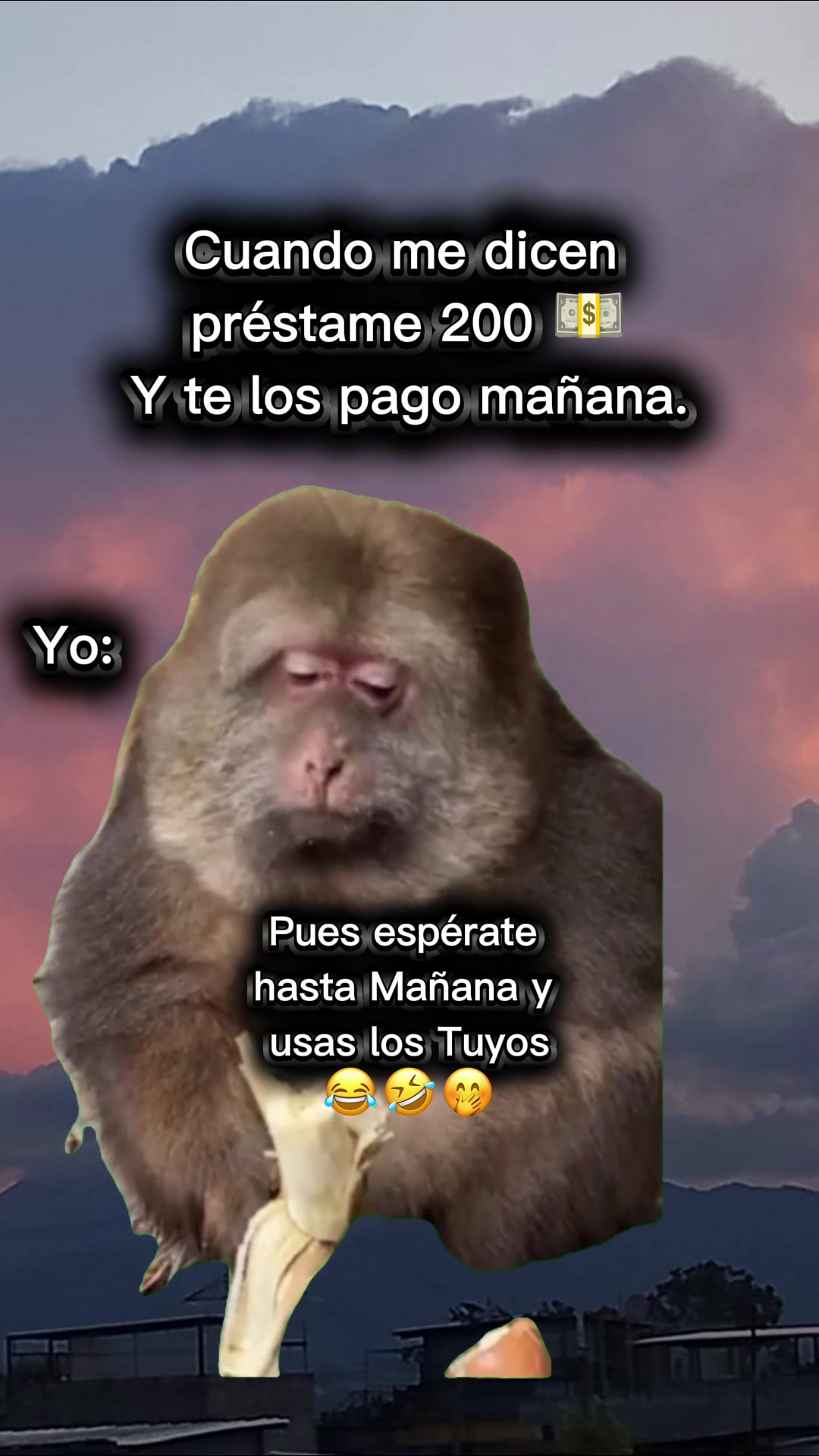 @Vane LC