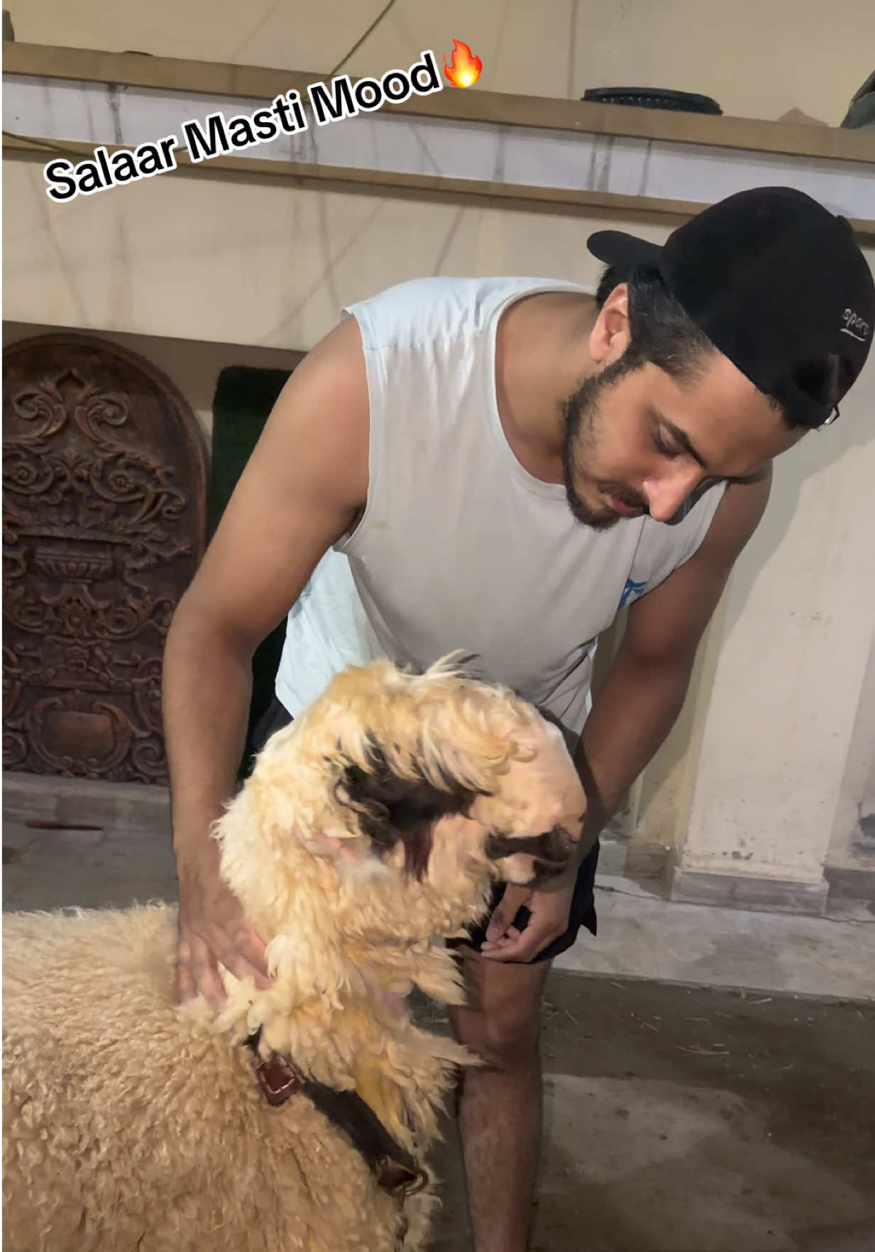 @Saad Rashid