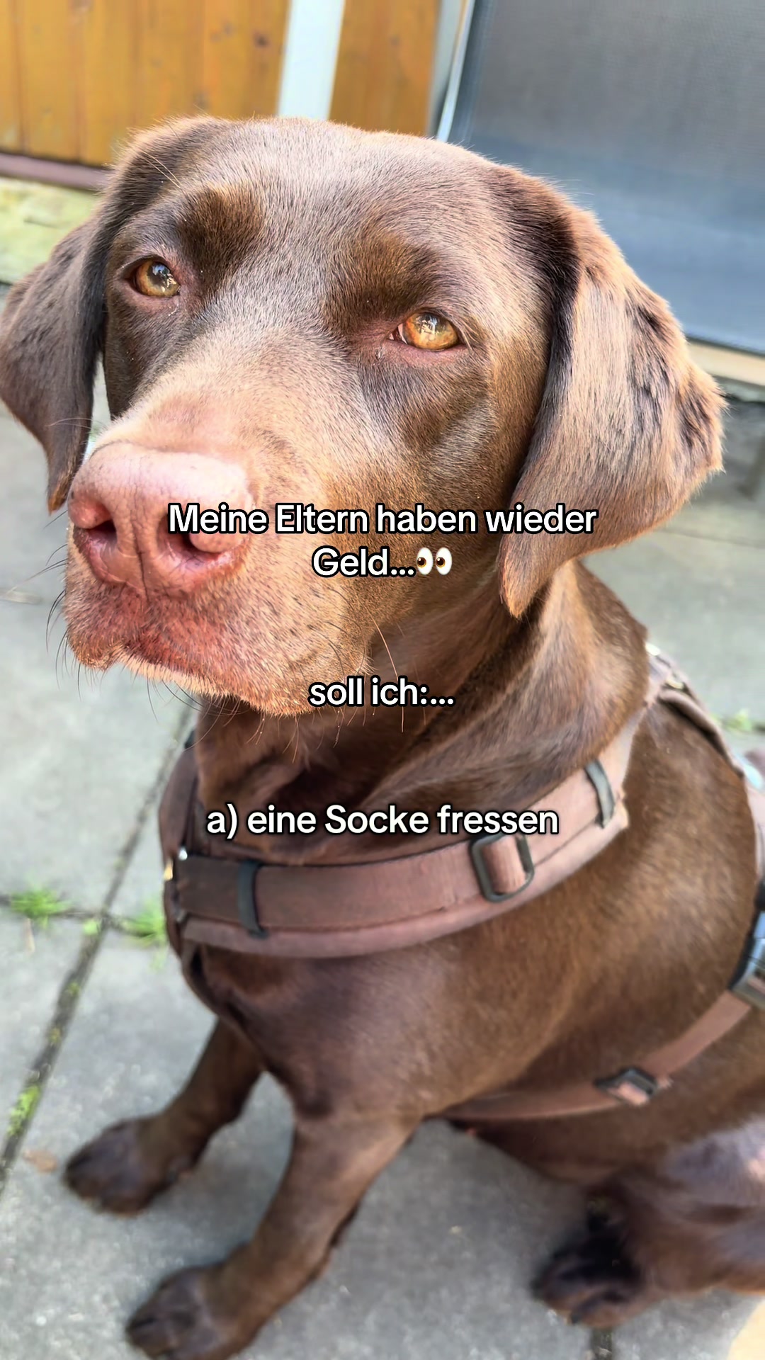 @Nala und Anna