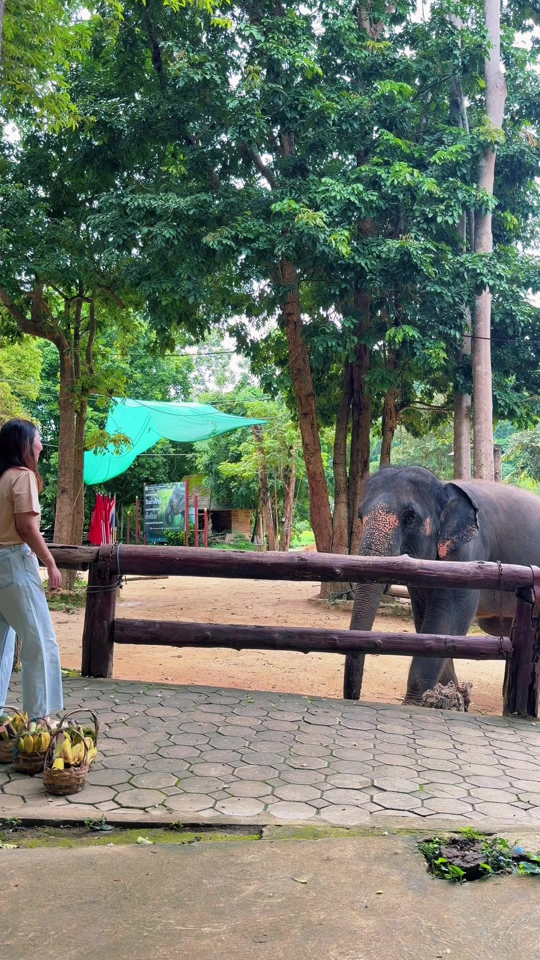@Qvy Boonchanawiwat