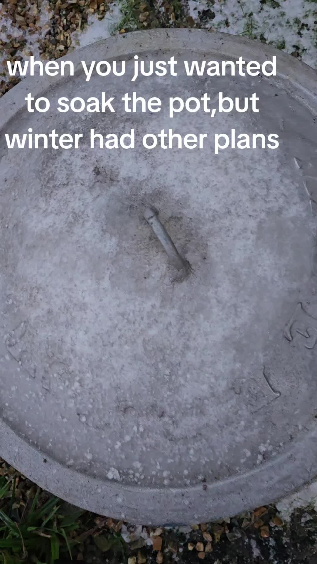 @Toltem