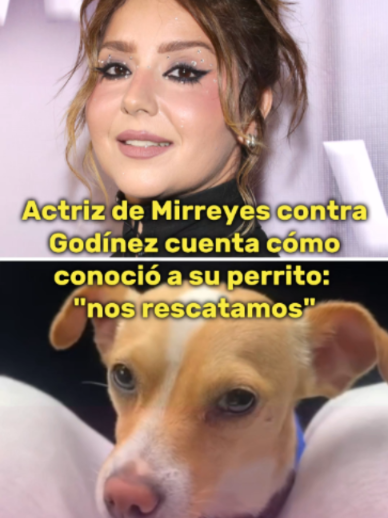 @Famosos