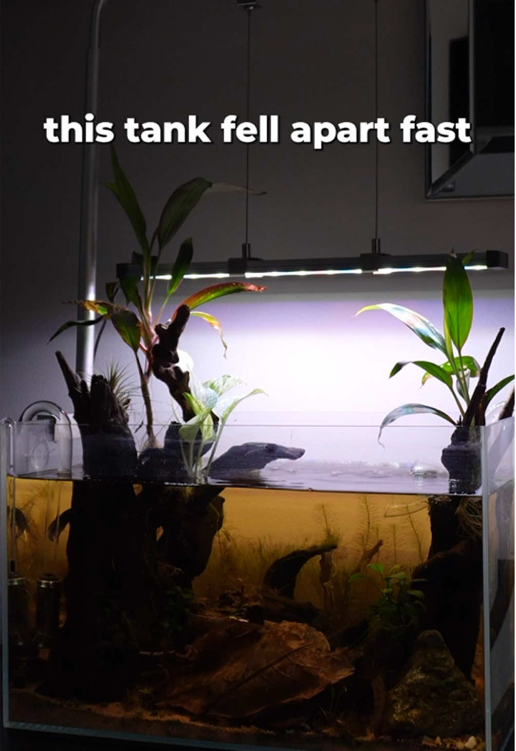 @tankinhabit