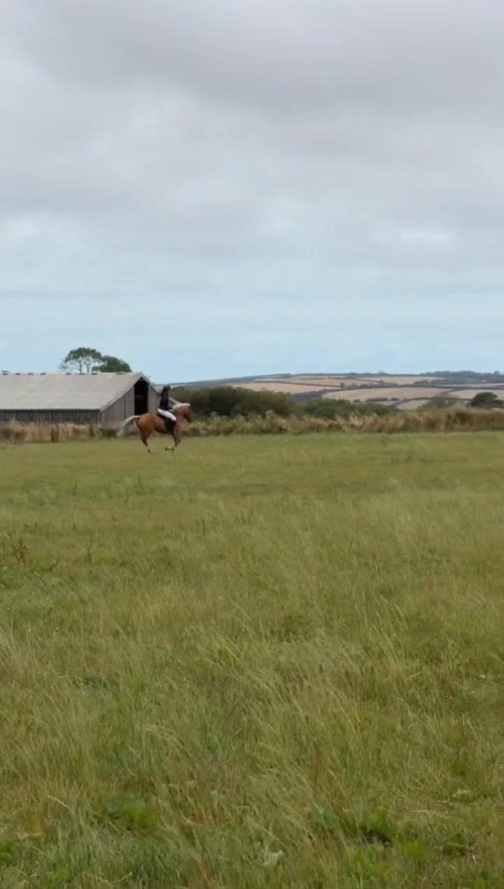 @amelia_showjumping2