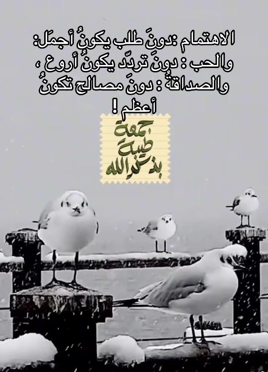 @Ali Al-Sarkhi