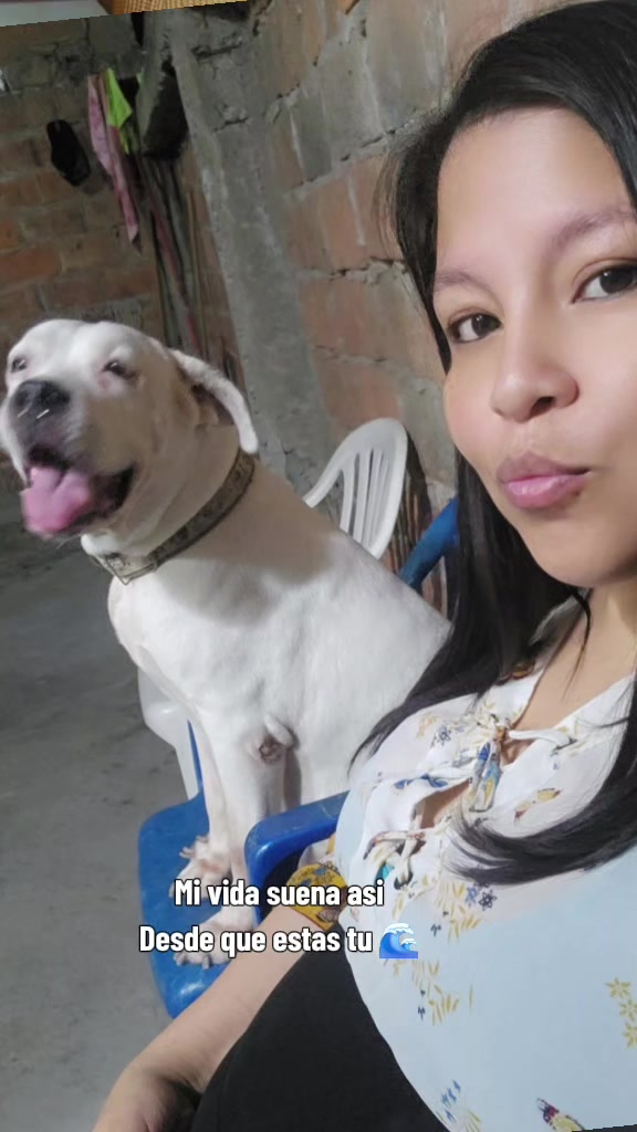 @Michu🐱🐶