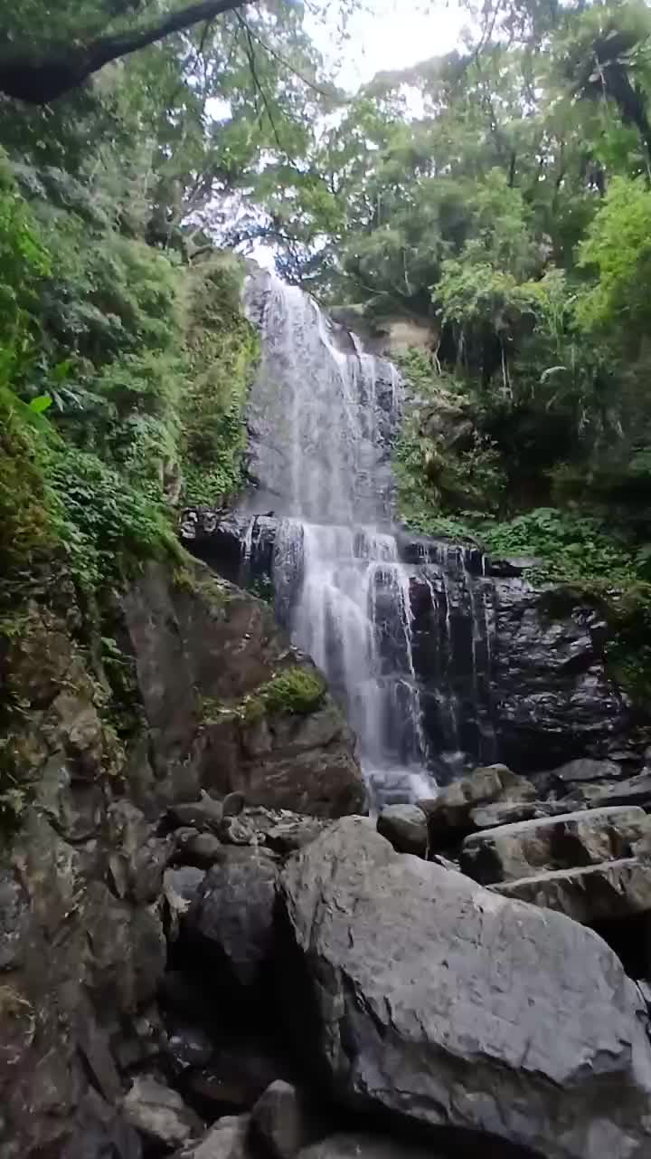 @Ani Bohay