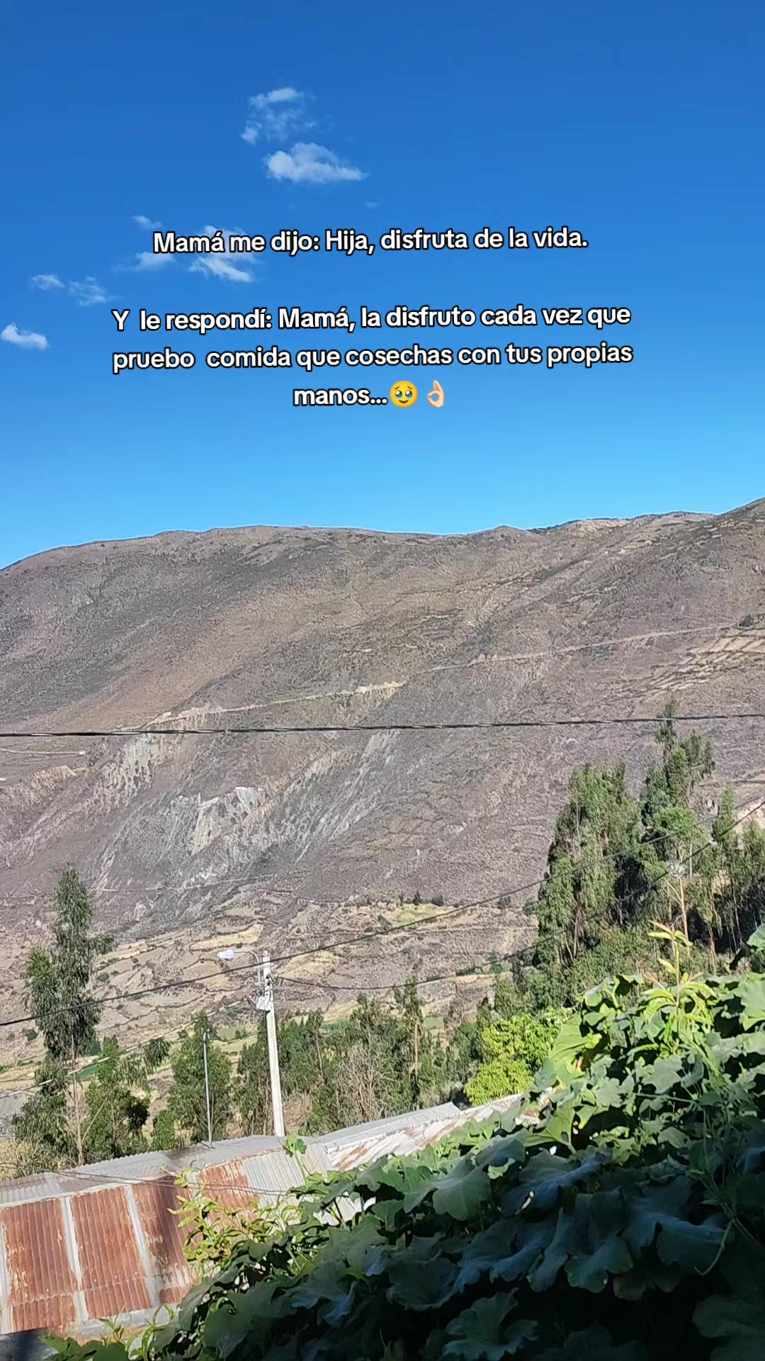 @Chinita