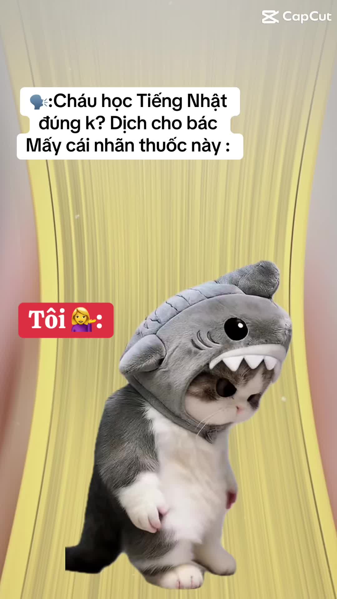@Ghiền Tiếng Nhật