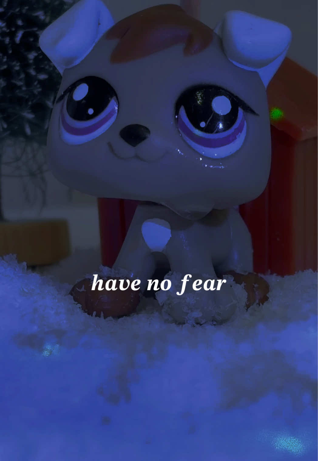 @Husky
