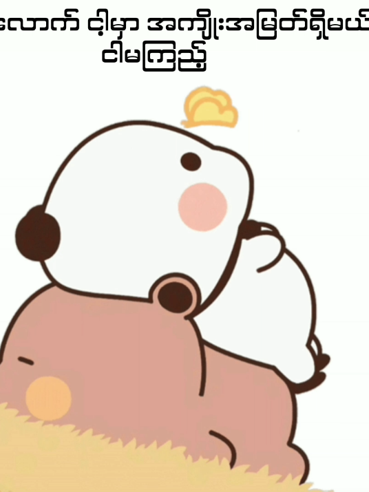 @๐ฒ๐๐๐ ๐ป๐ข๐๐๐๐ โฟ