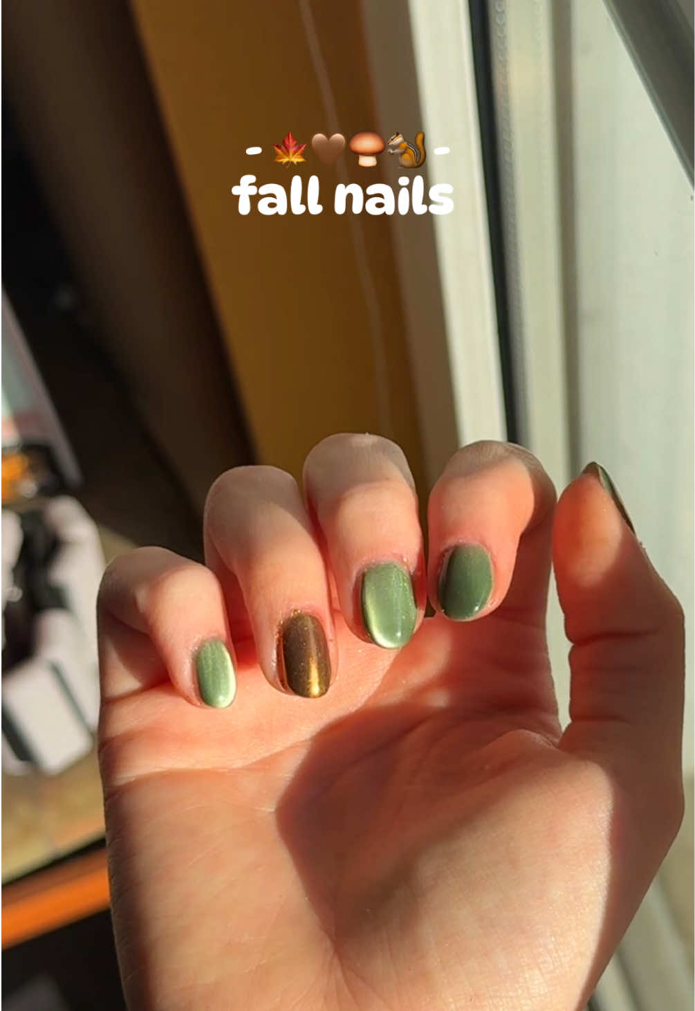 @zebrawolken