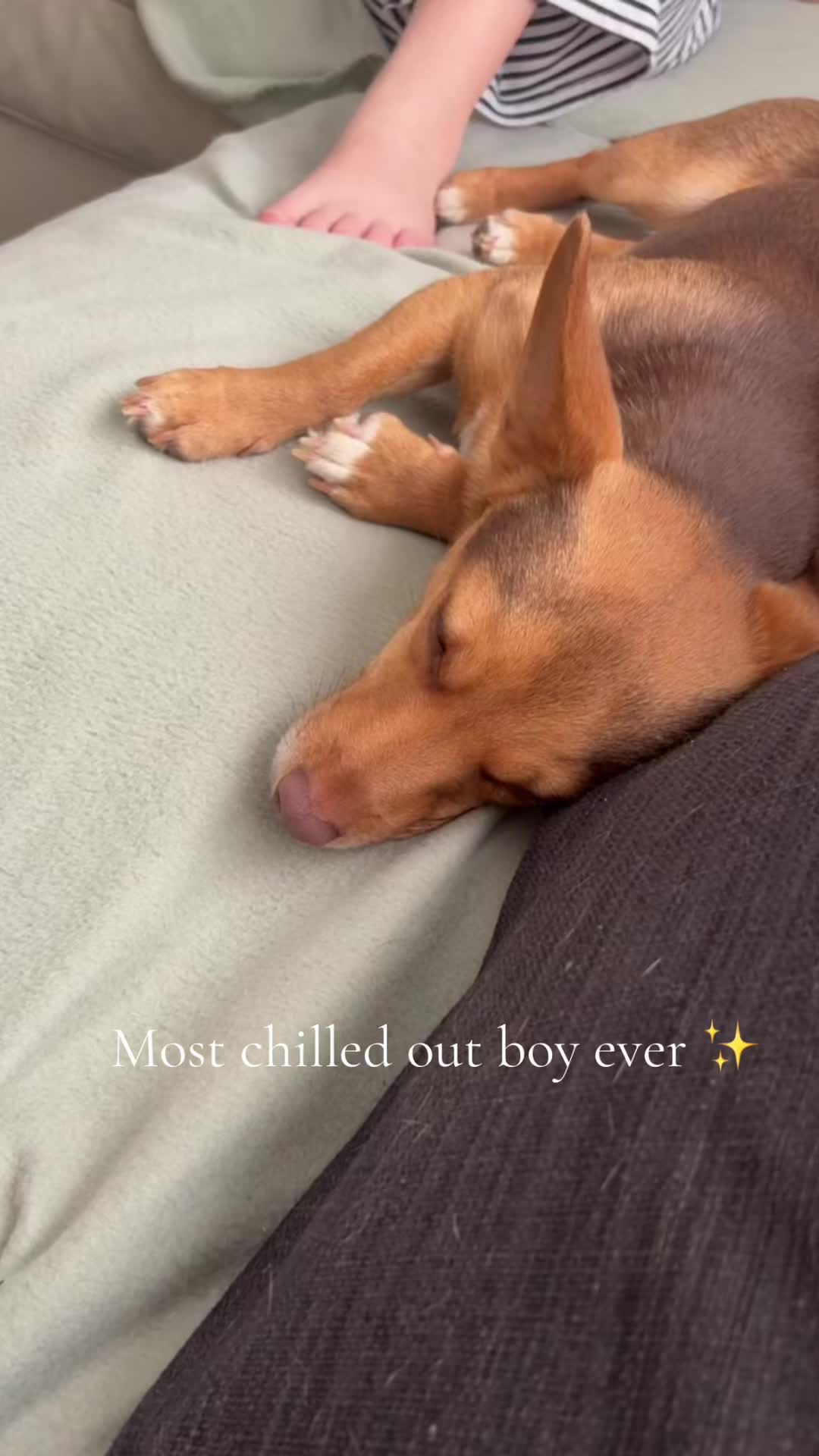@katie_m