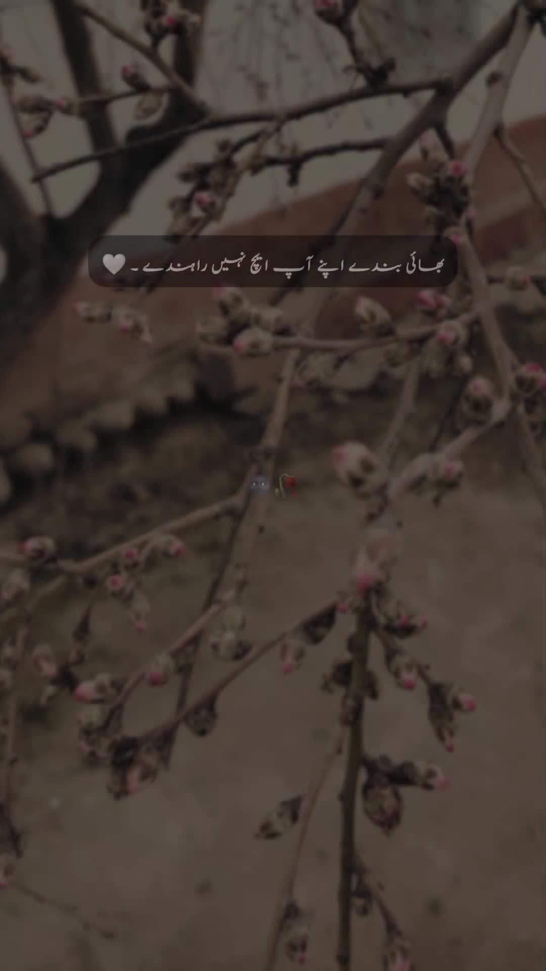 @𝐒 𝐚 𝐌 𝐢 🍂🫀