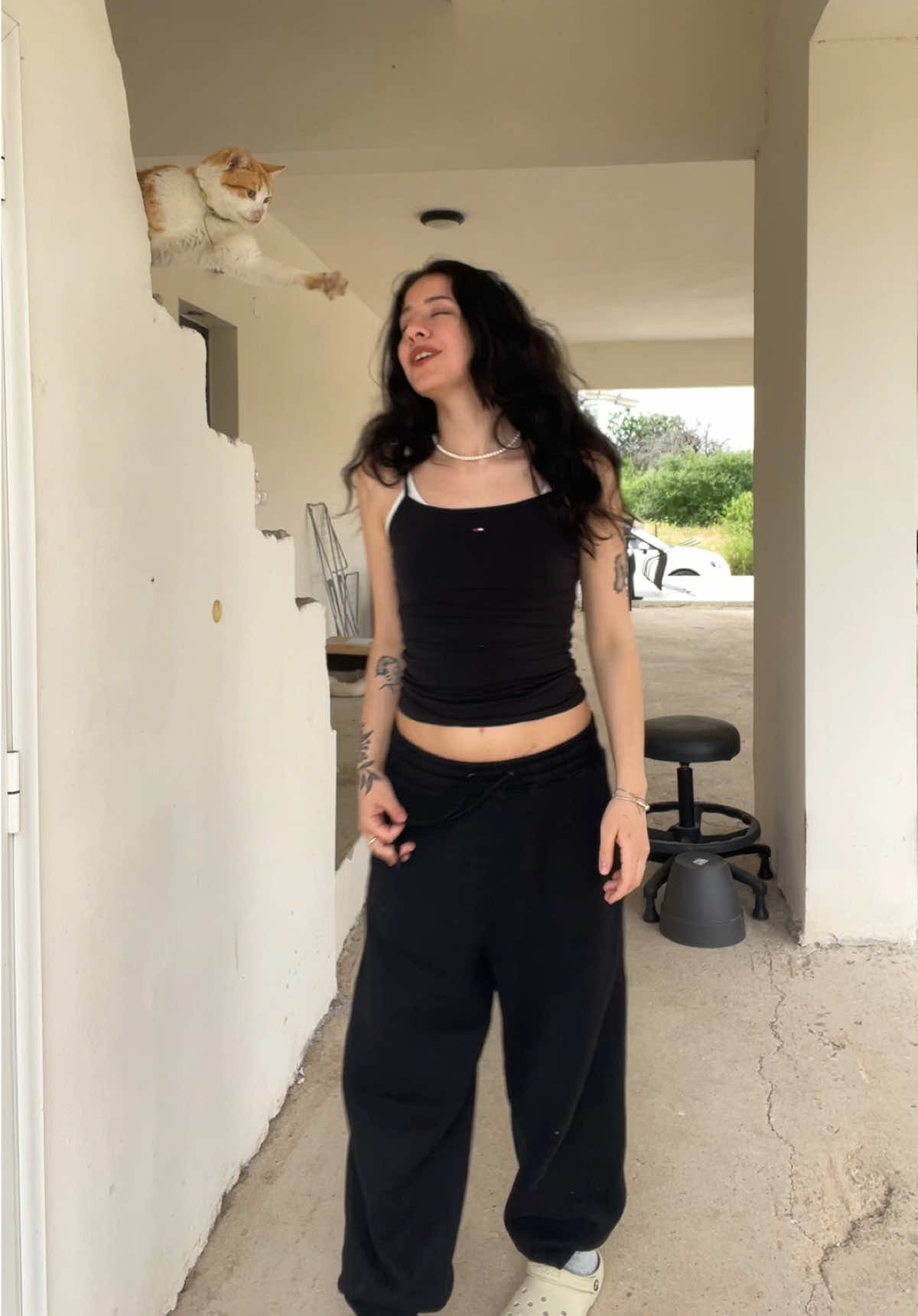 @Fisalida