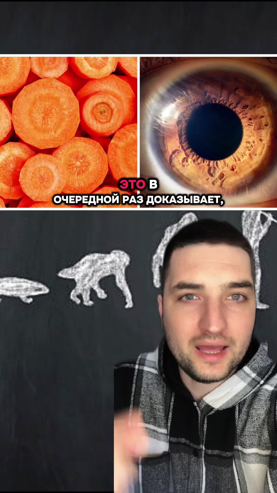 @Dovod Brat