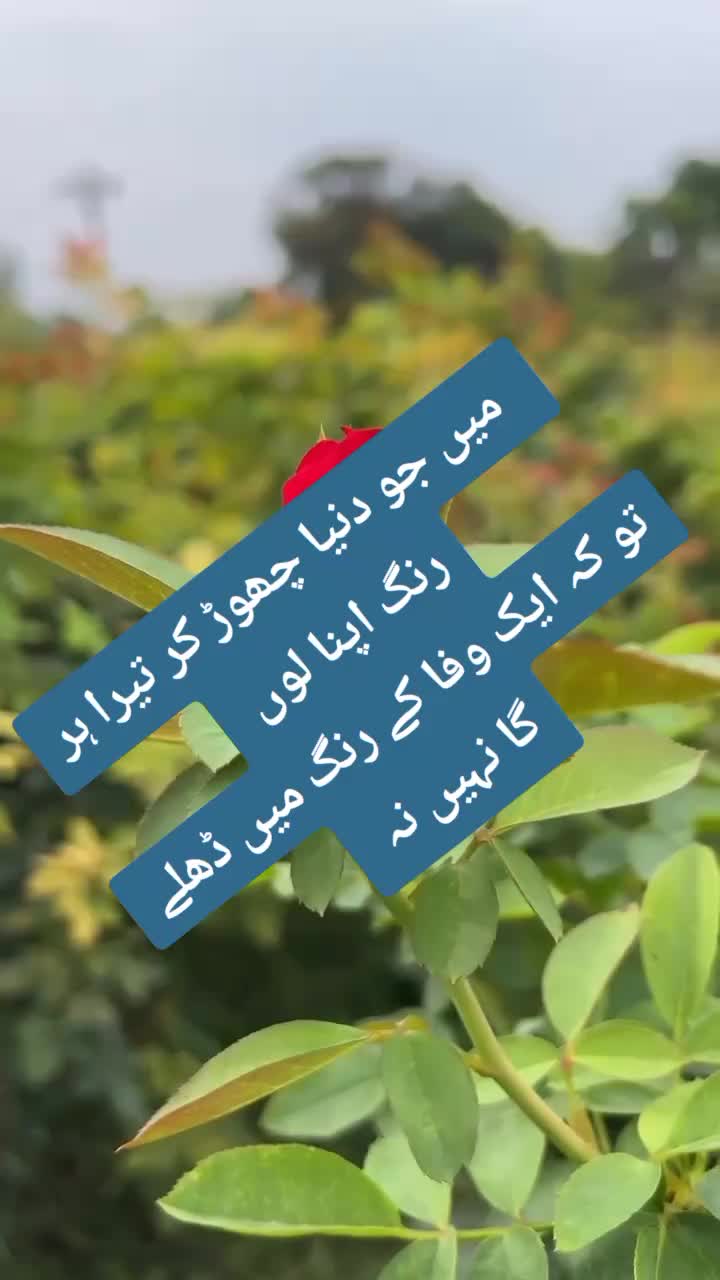 @ishq ibadat
