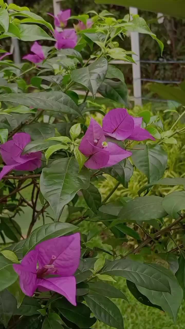 @Ichsan Solihudin