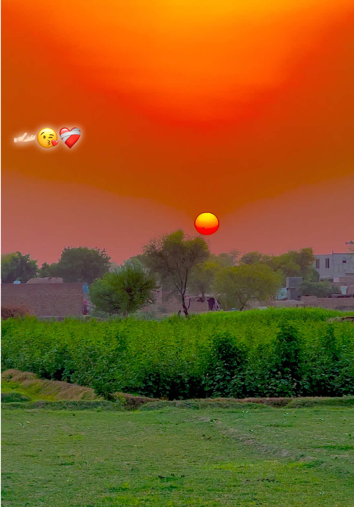 @🌾میں۔ میرا۔ پنڈ🎋